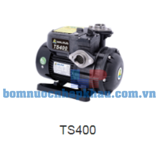 Máy bơm dân dụng đẩy cao Walrus TS-400